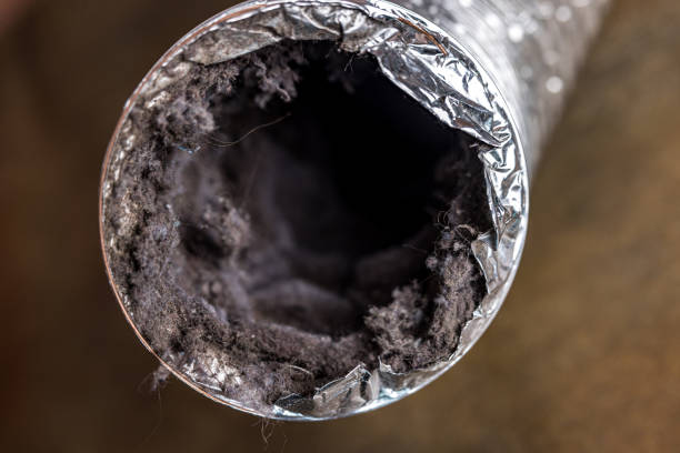 Best Affordable Duct Cleaning Services  in Williamston, MI