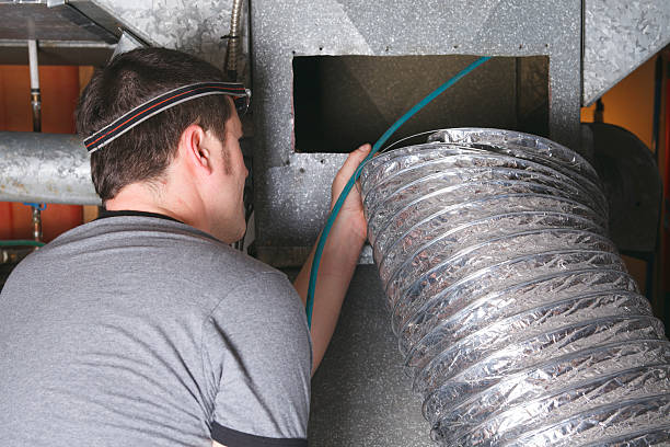 Best HVAC Air Duct Cleaning  in Williamston, MI