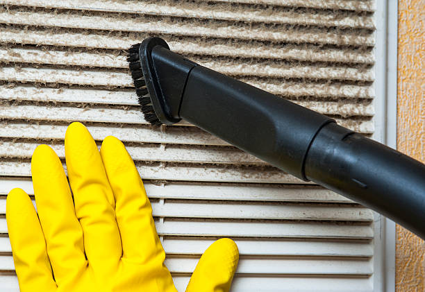 Best Dryer Vent Cleaning Services  in Williamston, MI